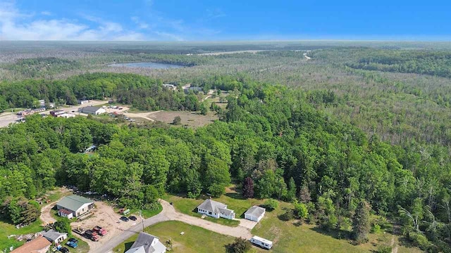 5791 Lebaron St, Levering, MI 49755 - view of property location with a forest