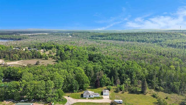 5791 Lebaron St, Levering, MI 49755 - aerial view of a forest