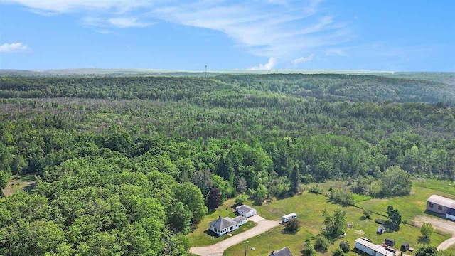5791 Lebaron St, Levering, MI 49755 - bird's eye view of a heavily wooded area