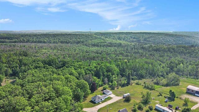 5791 Lebaron St, Levering, MI 49755 - bird's eye view of a heavily wooded area