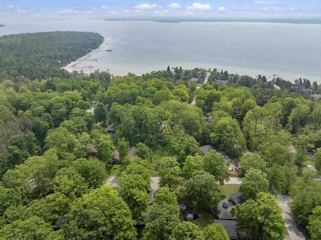 12593 Fern Pl, Charlevoix, MI 49720 - bird's eye view of a heavily wooded area and a large body of water