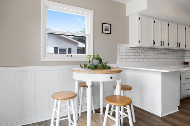 1105 Grant St, Charlevoix, MI 49720 - kitchen featuring decorative backsplash, dark wood-style flooring, wainscoting, light countertops, and white cabinets