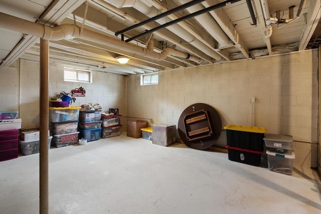1105 Grant St, Charlevoix, MI 49720 - view of below grade area