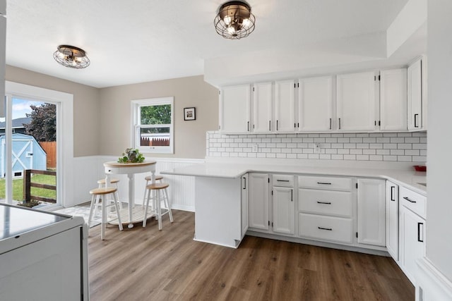 1105 Grant St, Charlevoix, MI 49720 - kitchen featuring light countertops, white cabinets, a wainscoted wall, tasteful backsplash, and dark wood-style flooring