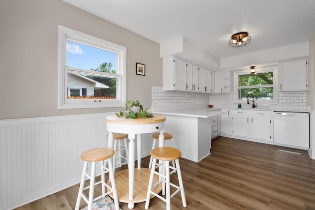1105 Grant St, Charlevoix, MI 49720 - kitchen featuring white dishwasher, a sink, decorative backsplash, light countertops, and white cabinets