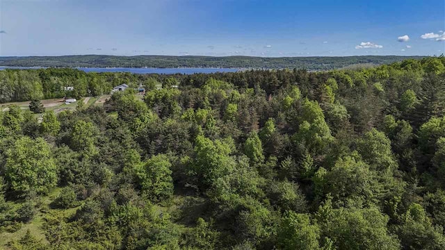 732 Hull St, Boyne City, MI 49712