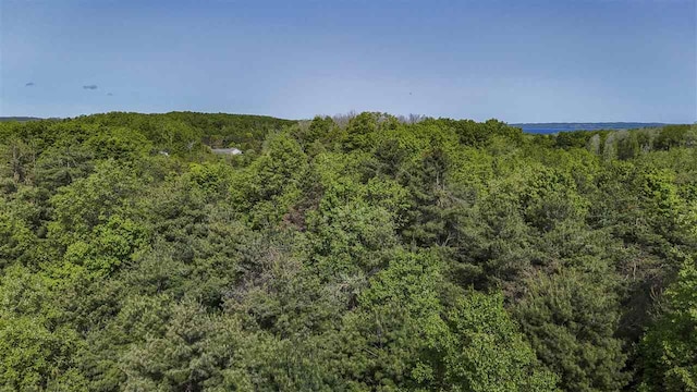 732 Hull St, Boyne City, MI 49712
