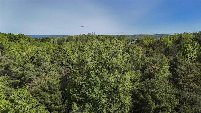 732 Hull St, Boyne City, MI 49712