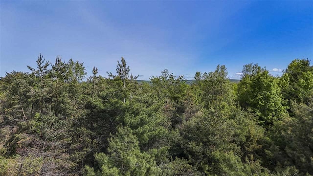 732 Hull St, Boyne City, MI 49712