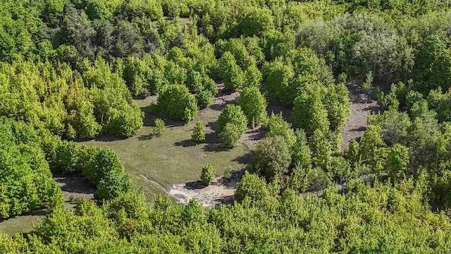 732 Hull St, Boyne City, MI 49712