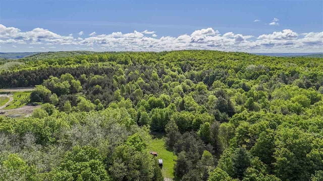 732 Hull St, Boyne City, MI 49712