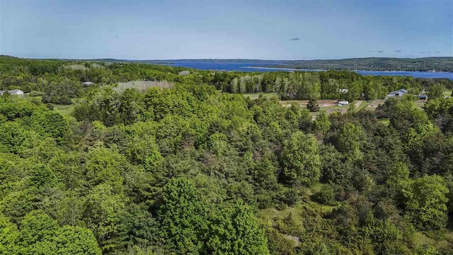 732 Hull St, Boyne City, MI 49712