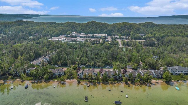 3480 Lakeside Dr N Unit 35, Petoskey, MI 49770 - aerial view of property's location with a heavily wooded area and a large body of water