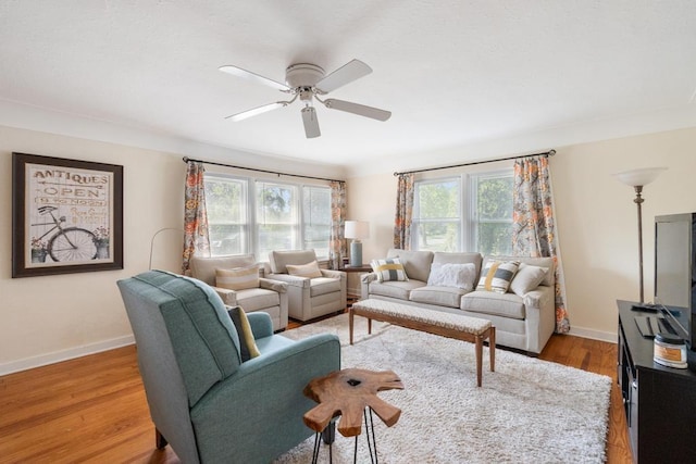 1029 Howard St, Petoskey, MI 49770 - living room featuring ceiling fan, baseboards, and wood finished floors