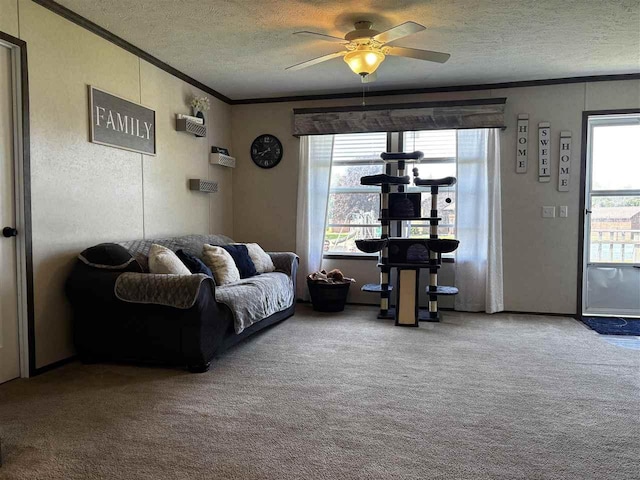 6685 M-66 N, Charlevoix, MI 49720 - living room with crown molding, a textured ceiling, healthy amount of natural light, a ceiling fan, and carpet flooring