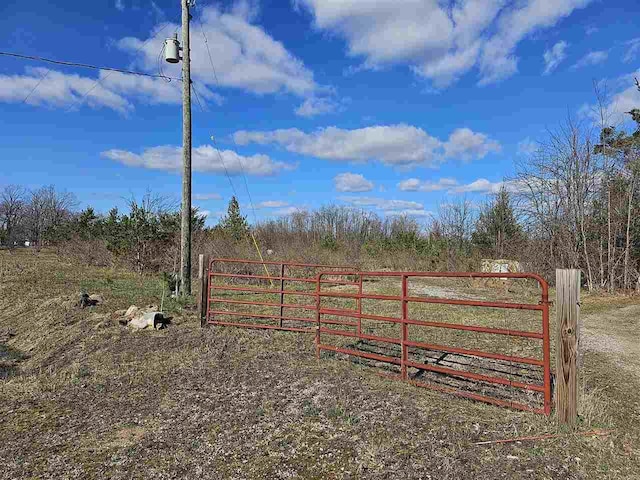 1715 Ellinger Rd, Alanson, MI 49706