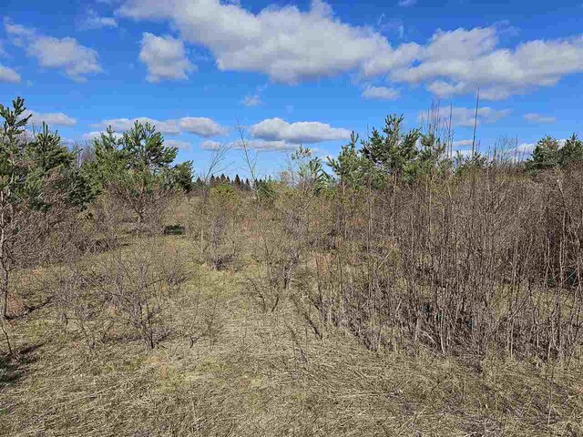 1715 Ellinger Rd, Alanson, MI 49706