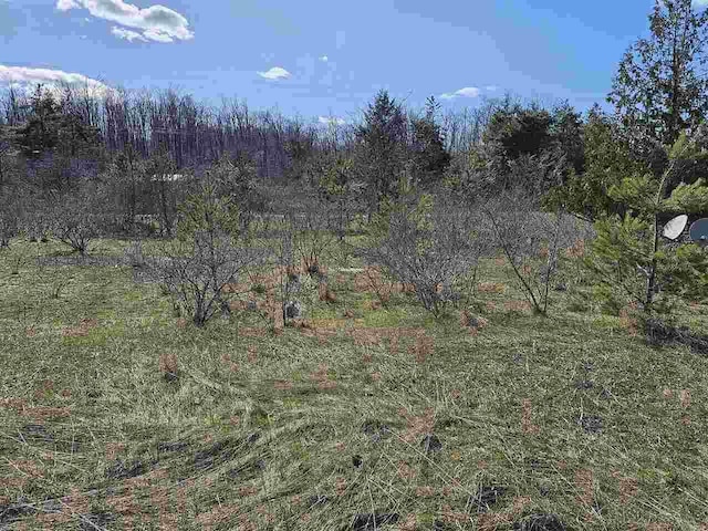1715 Ellinger Rd, Alanson, MI 49706