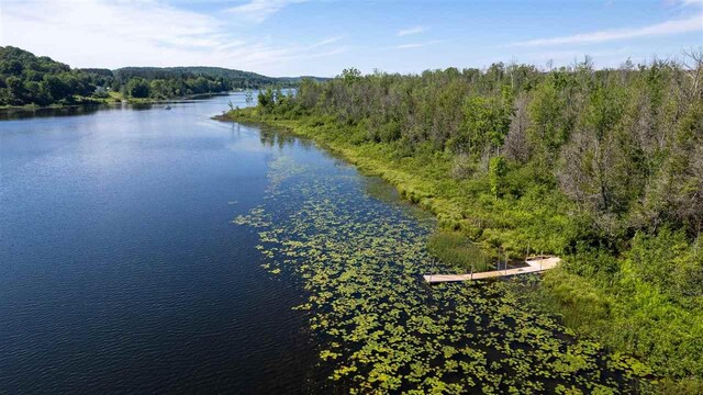 TBD Miles Rd, East Jordan, MI 49727