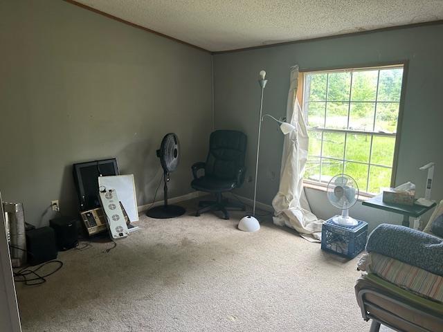 9540 Pickerel Lake Rd, Petoskey, MI 49770 - office space with carpet and a textured ceiling