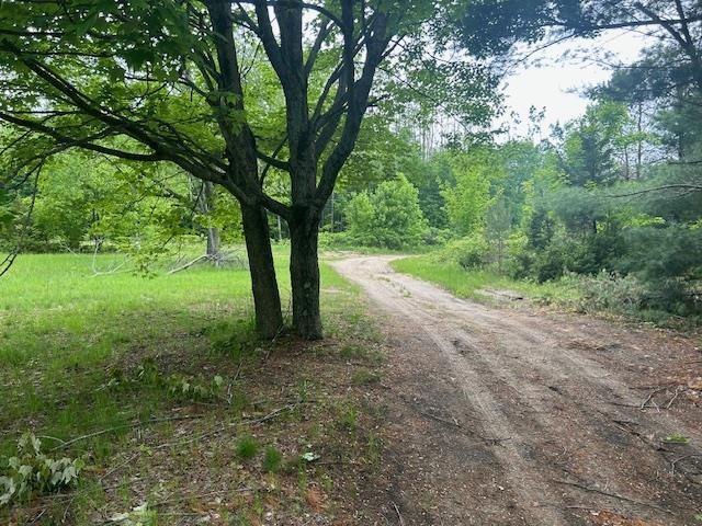 9540 Pickerel Lake Rd, Petoskey, MI 49770 - view of dirt / gravel road with a forest view