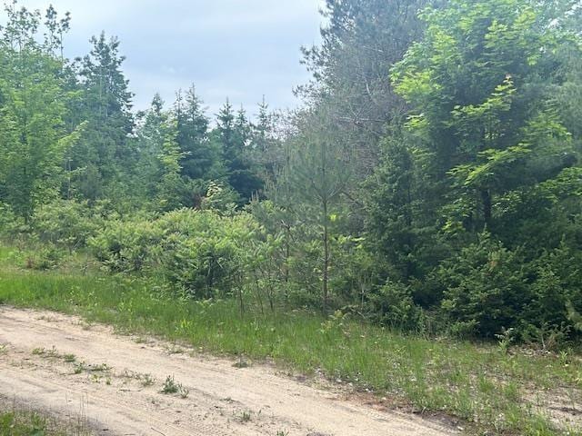9540 Pickerel Lake Rd, Petoskey, MI 49770 - view of tree filled area