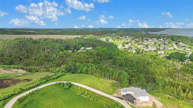968 Hotchkiss Cir, Petoskey, MI 49770