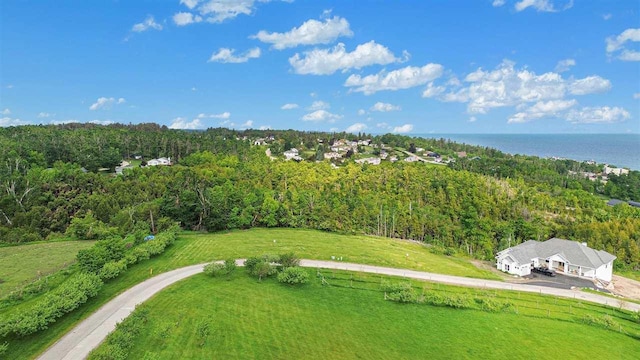968 Hotchkiss Cir, Petoskey, MI 49770