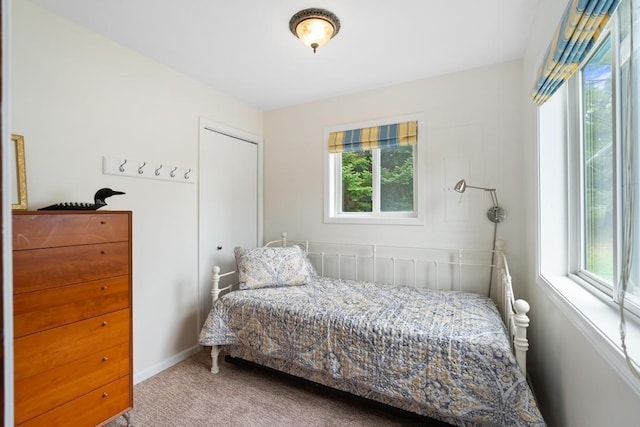 15700 Island Dr, Wolverine, MI 49799 - bedroom featuring carpet floors and a closet