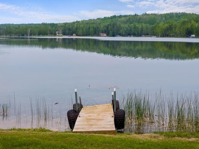15700 Island Dr, Wolverine, MI 49799 - dock with a forest view and a water view