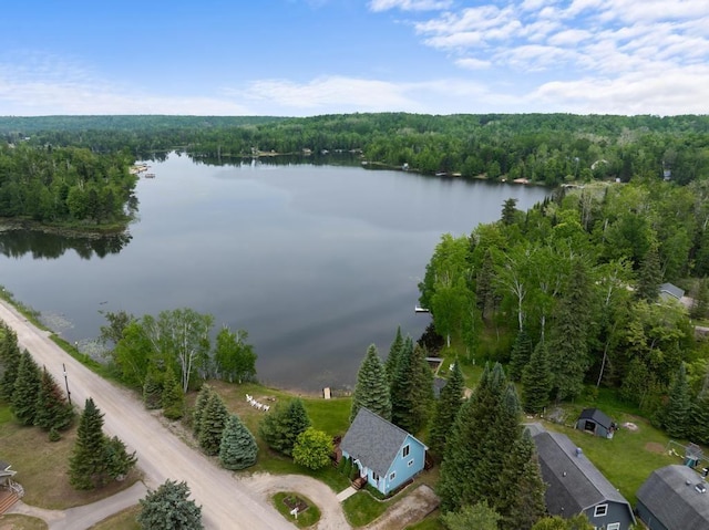 15700 Island Dr, Wolverine, MI 49799 - aerial view of a heavily wooded area and a nearby body of water
