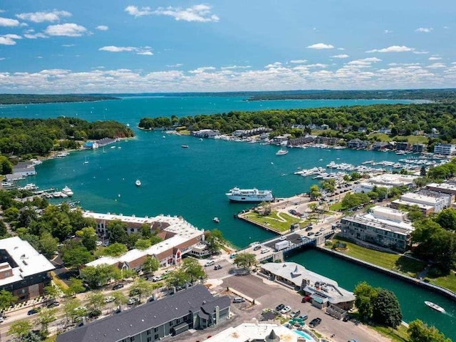 101 Michigan Ave Unit 107, Charlevoix, MI 49720 - bird's eye view of a nearby body of water and numerous boat docks