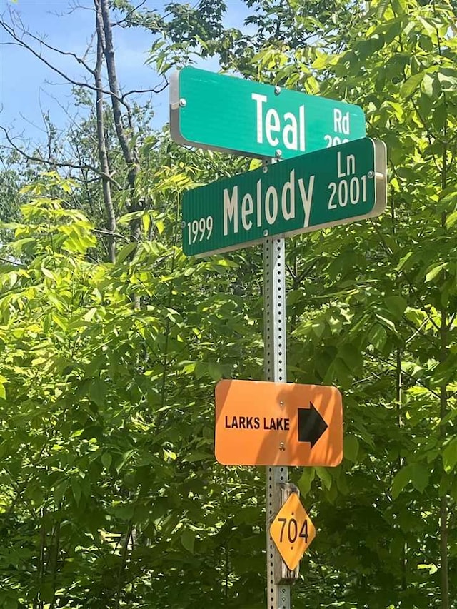 TBD Teal Rapid, Pellston, MI 49769