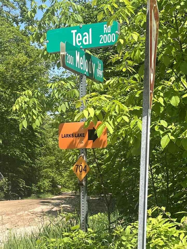 TBD Teal Rapid, Pellston, MI 49769