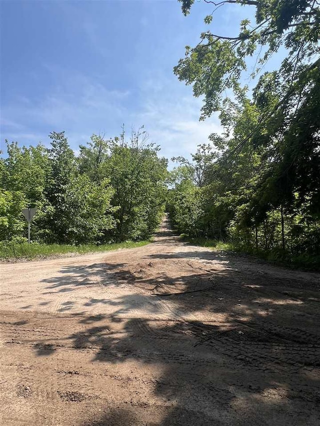 TBD Teal Rapid, Pellston, MI 49769