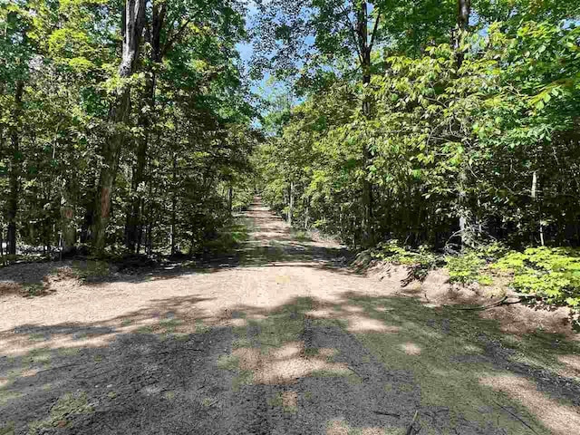 TBD Teal Rapid, Pellston, MI 49769