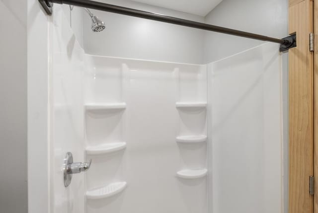 168 Townline Rd, Pellston, MI 49769 - full bath with a shower