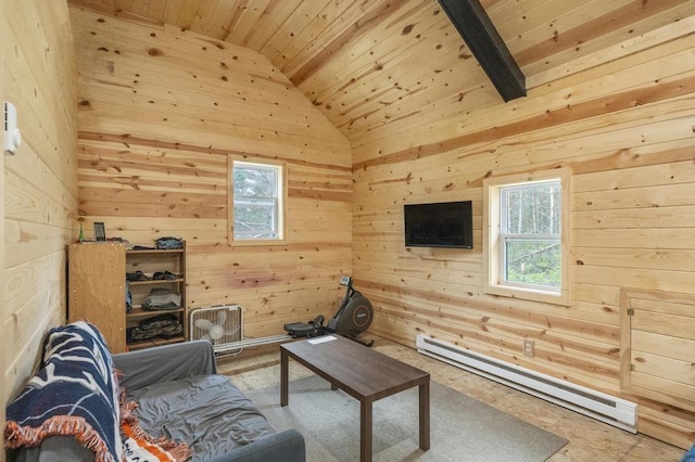 168 Townline Rd, Pellston, MI 49769 - living room with baseboard heating, lofted ceiling, wooden ceiling, and wooden walls