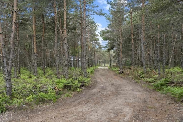 168 Townline Rd, Pellston, MI 49769 - view of dirt / gravel road featuring a view of trees