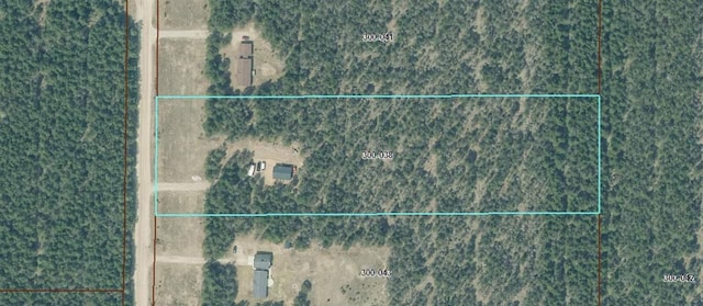 168 Townline Rd, Pellston, MI 49769 - aerial overview of property's location with property boundaries highlighted