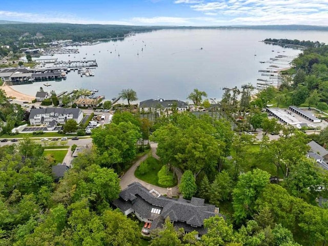 145 Traverse St, Harbor Springs, MI 49740 - drone / aerial view of a large body of water