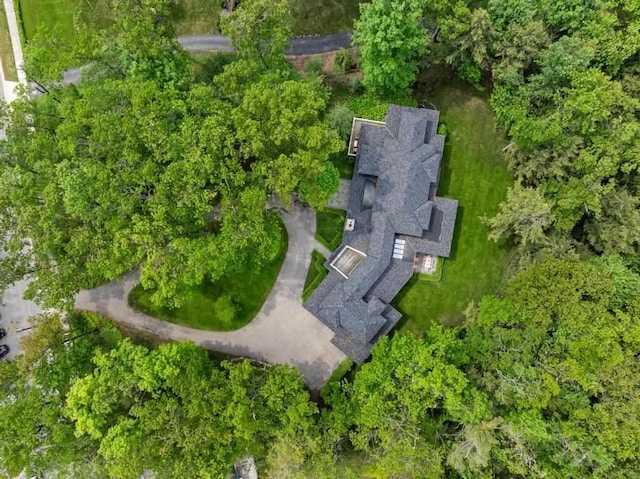 145 Traverse St, Harbor Springs, MI 49740 - aerial view of property and surrounding area