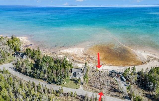 3753 Pointe Dr, Carp Lake, MI 49718