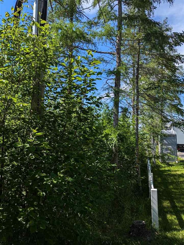 3753 Pointe Dr, Carp Lake, MI 49718