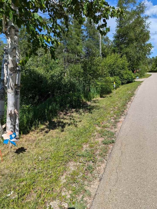 3753 Pointe Dr, Carp Lake, MI 49718