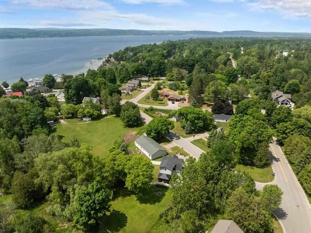 1116 N Lake St, Boyne City, MI 49712 - aerial view of property's location featuring a nearby body of water and a forest