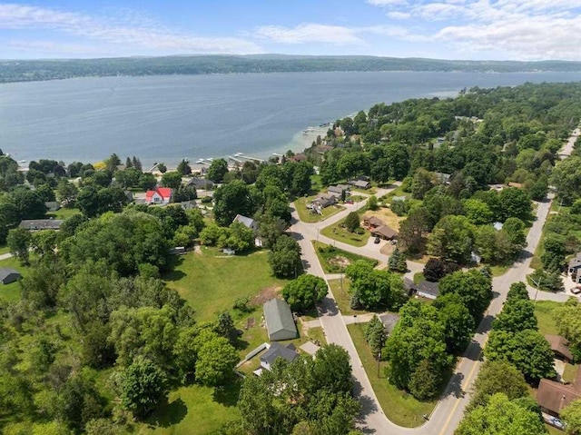 1116 N Lake St, Boyne City, MI 49712 - drone / aerial view of a nearby body of water