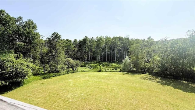 2160 Kladder Rd, Bellaire, MI 49615 - view of grassy yard featuring a wooded view