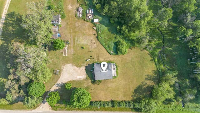 2160 Kladder Rd, Bellaire, MI 49615 - aerial view of property and surrounding area