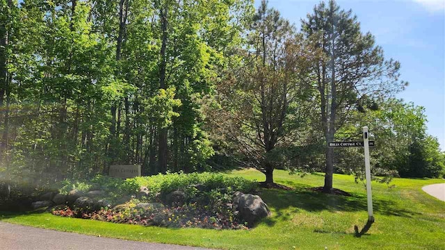 6069 Hills Cottage Ct Unit 5, Bay Harbor, MI 49770 - view of home's community with a yard